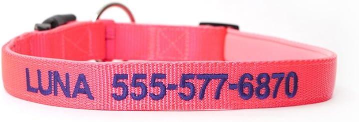 qualtry dog collar