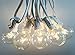 APMRUMGO US Outdoor Light String 100ft Globe Patio String Lights - 100 Foot White Light Strings w/Clear G40 Bulbs UL Edison Lights Include spares
