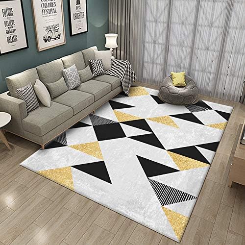 Rug Abstract Modern Area Anti-Skid Rectangle Carpet Easy to Clean Stain Resistant for Living Room Bedroom Indoor Outdoor Mat GTMYUK,F,200x300cm