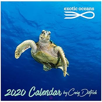 Exotic Oceans 2020 Calendar by Craig Dietrich
