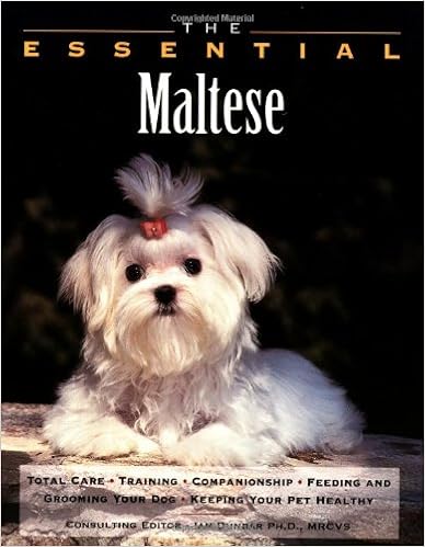 The Essential Maltese (Howell Book Houses Essential) �y�[�p�[�o�b�N  - 1999/4/23