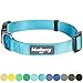 Blueberry Pet Essentials X-Small Dog Collar in Turquoise | Adjustable & Eco-Friendly Durable Nylon Strap | Classic Collar for X-Small Dogs, Boy & Girl Pets