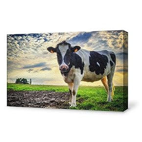 SIGNFORD Canvas Wall Art for Living Room,Bedroom Home...