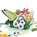 Liif Hummingbird Mother's Day 3D Greeting Pop Up Card Card For All Occasions, Father's Day, Happy Birthday, Anniversary, Retirement, Thinking Of You, Get Well, Hummingbird Gifts For Women, Bird Lover