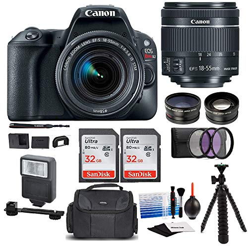 Canon EOS Rebel SL2 Digital Camera with Canon EF-S 18-55mm STM Lens : 24 Megapixel 1080p HD Video DSLR Bundle with 64GB (2X 32GB SD Cards) Mini Tripod Filter Kit Flash Bag & Charger Professional Kit - Thumbnail 4