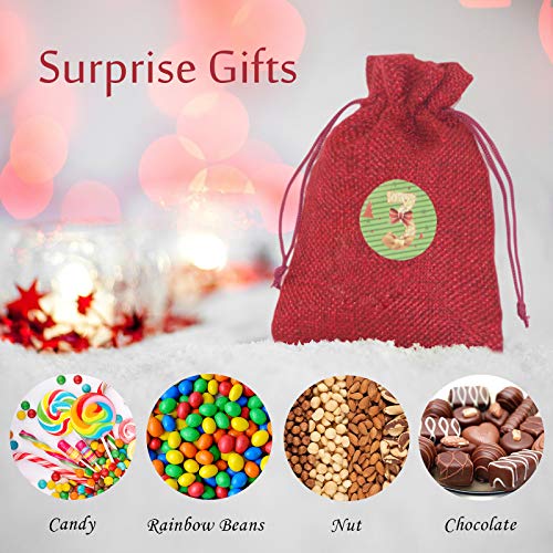 Bestier Christmas Advent Calendar 2020, 24 Days Xmas Countdown Calendar DIY Advent Calendar Set, Hanging Burlap Gift Bags, 24 Calendar Stickers and Small Wooden Sign, Christmas Decoration Supplies