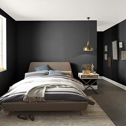 The Spruce Best Home by KILZ 15127101 Interior SemiGloss Paint