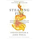 Stealing Fire: How Silicon Valley, the Navy SEALs, and Maverick Scientists Are Revolutionizing the Way We Live and Work