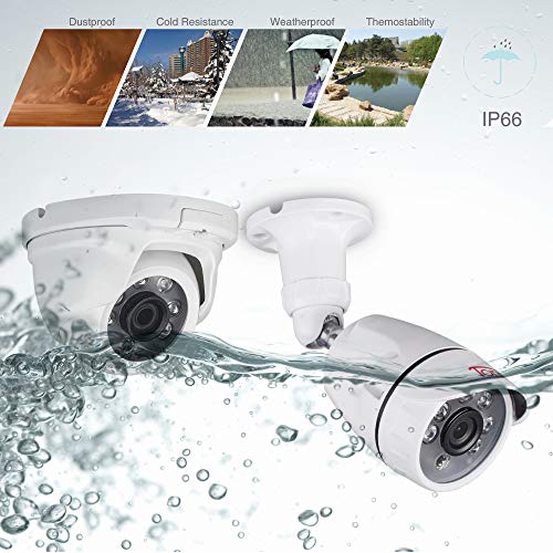Tonton 1080P Surveillance Camera System Outdoor,8CH 1080P DVR Recorder