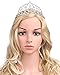BABEYOND Crystal Queen Tiara Crown Rhinestones Pageant Quinceanera Crown Prom Princess Tiara Crown Bridal Wedding Crown Tiara Headband