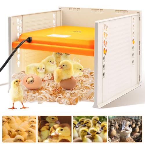 Photo 1 of Chicken Brooder Heating Plate 10" X 10", Adjustable Height and Angle Brooder Plate for Chicks and Ducklings, 50-149°F Chick Brooder with Temperature Indicator, 25 Watts Quail Brooder for 10-15 Chicks
