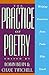 The Practice of Poetry: Writing Exercises From Poets Who Teach by Robin Behn