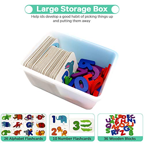 Kcuina Alphabet and Number Flashcard Set 36 Cardboard Flash Cards