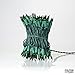 100 Green Miniature Christmas Lights Set - Mini Holiday String Lights