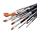 Ohuhu 12pcs Nylon Hair Art Paint Brush Set