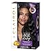 Clairol Age Defy Permanent Hair Color, 2 Black, 1 Count