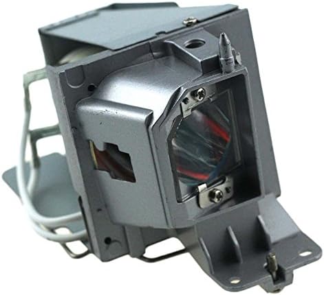 BL-FP190D Replacement Projector Lamp with Housing SP.73701GC01 for OPTOMA HD141X HD26 GT1080 W316 DH1009 H182X S316 X316