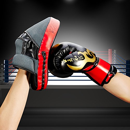 Punching Mitts Boxing Punch Pad 1 Pair for Kid Adult Boxing Punching