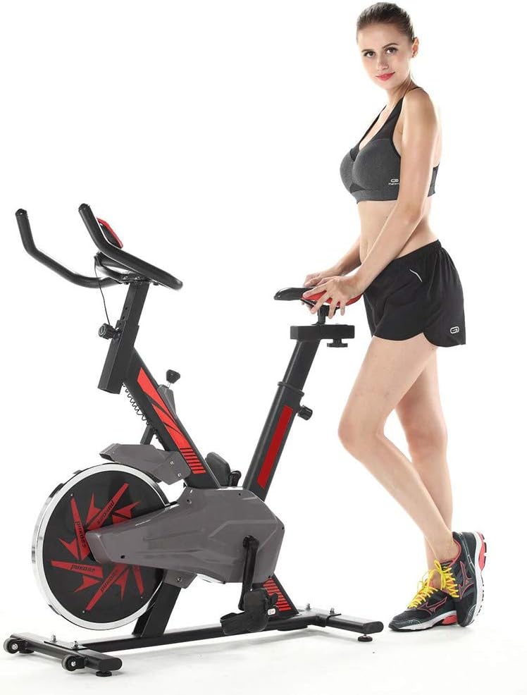 Sanmomo Indoor Exercise Bicycle Ultra-Quiet Exercise Bike Home Bicycle Fitness Equipment for Home Gym Cardio Workout