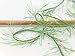 100 Gram Jungle Grass Green Eyelash Yarn Ice Packer's Green Fun Fur
