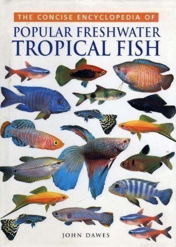 types of tropical fish