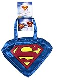Supergirl Purse and Hair Clips Set