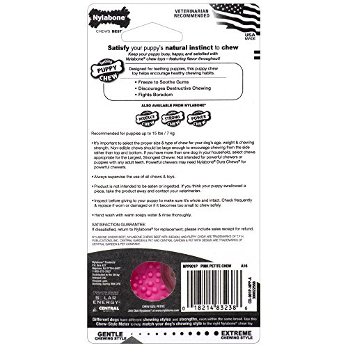 Nylabone Just For Puppies Petite Pink Dental Bone Puppy Dog Chew Toy