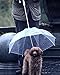 Moore Transparent Umbrella with Built-in Leash Pet Dog Puppy Dry Comfortable in Rain