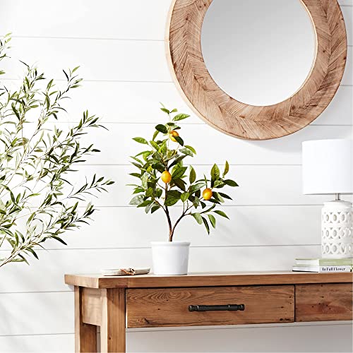Amazon Brand Stone & Beam Artificial Lemon Citrus Tree with Ceramic