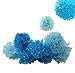 Fecedy™ 18pcs Tissue Paper Pom Poms Flower Ball for Wedding,Festival,Party Decoration (Blue)