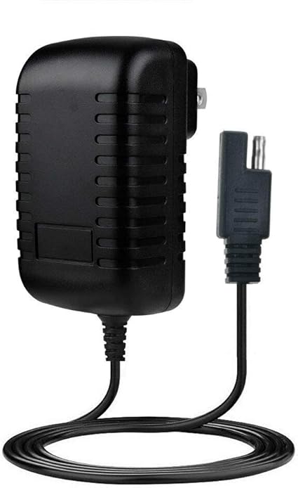 pacific cycle 12v battery charger