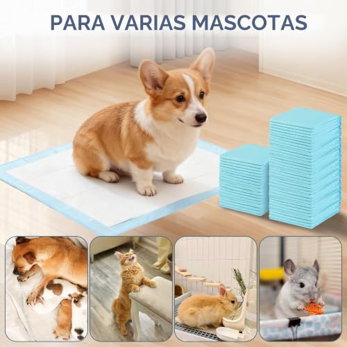 Chumix 100 Units Dog Pads 60 x 60 cm, Dog Pads for Puppy Pads at Home, Design of 6 Layers Anti-Leak, Training Wipes for Puppies, Older Dogs