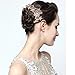 Pack of 4 Bridal Wedding Hair Comb Overtone Rose Gold Crystal Rhinestones Pearls Women Hair Side Combs Bridal Head Pin Headpiece