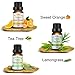 SKYMORE Top 6 Essential Oil Blend Gift Set, 100% Pure Aromatherapy Oils for Diffuser, Best Therapeutic Grade Essential Oil Kit - 6/10ml (Sleep, Breathe, Relaxation, Refresh, Immunity, Decompression)