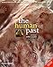 The Human Past: World Prehistory and the Development of Human Societies (Second Edition)