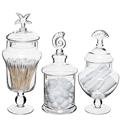 Juego de 3 tarros de botes de vidrio transparente con manija Seashell / recipientes de almacenamiento de alimentos / centros de mesa decorativos