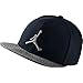 Nike Mens Air Jordan Elephant Bill Snapback Hat