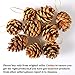 Coobey 24 Pieces Pine Cones Ornament Natural PineCones With String Pendant Crafts for Gift Tag Tree Party Hanging Decoration (Natural)