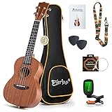 Concert Ukulele Mahogany - 23 inch Professional