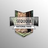 JMM Industries Sequoia National Park Vinyl Decal Sticker Car Window Bumper 2-Pack 4.7-Inches by 4.4-Inches Premium Quality UV Protective Laminate NPS051