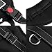 Ecoastal Dog Body Harness Padded Extra Chest Straps Heavy Duty with Handle Comfortable for Labrador, Golden Retriever Large Dogs