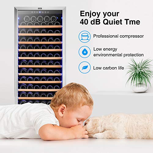 Colzer Upgrade 24 Inch Wine Cooler Refrigerators, 154 Bottle Fast