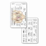 Heart Sounds Diagram Vertical Badge Reference Card (1 Card)