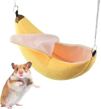 hamster accessories amazon
