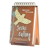 DaySpring DayBrightener Jesus Calling Teen by Sarah Young Large DayBrightener Perpetual Calendar