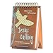DaySpring Sarah Young's Jesus Calling for Teens LARGE Tabletop Daybrightener Perpetual Flip Calendar, 366 Days