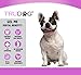 Dental Care For Dogs - Gel Me: Doggy Dental Gel (4Oz) - All Natural Ingredients That Freshen Breath While Reducing Dental Plaque And Tartar Build-Up Without Brushing - Veterinarian Approved
