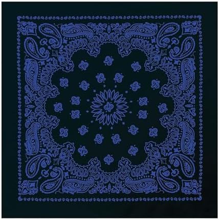 Amazon.com: Hav-A-Hank Rustic Navy & Cream Paisley Bandanna, 27x27