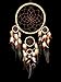 Betterdecor Traditional Handmade Dream Catcher Wall and a Car Hanging Orament (with a Logo Bag)