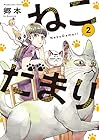 ねこだまり 第2巻